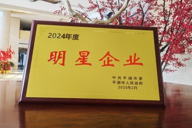 新春新景新气象 | ky体育官网入口在平湖三干大会上喜摘荣誉！